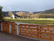 Stark im Garten - 38