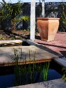 Stark im Garten - 43