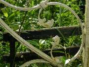 Stark im Garten - Stark im Garten