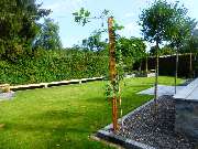 Stark im Garten - Stark im Garten