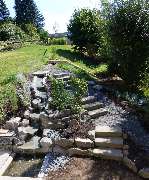 Stark im Garten - Stark im Garten