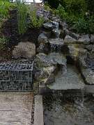 Stark im Garten - Stark im Garten