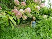 Stark im Garten - Stark im Garten