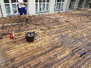 Starke Bienen im Einsatz Haus & Dienstleistungsservice - 12