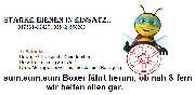 Starke Bienen im Einsatz Haus & Dienstleistungsservice - 5