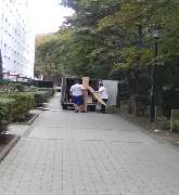 Starke Bienen im Einsatz Haus & Dienstleistungsservice - 7