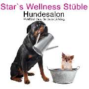 Logo - Star's Wellness Stüble