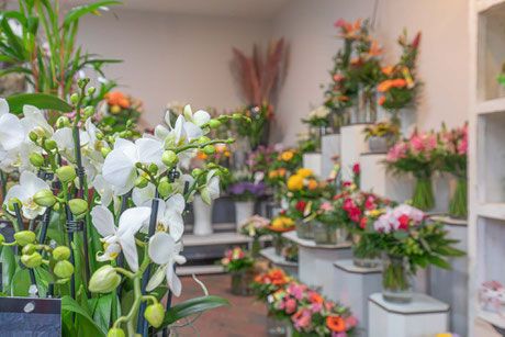 Stauden Hansen GbR - GALLERY