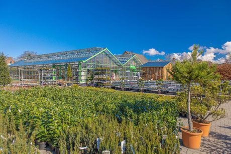 Stauden Hansen GbR - GALLERY