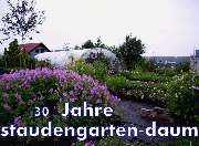 Staudengarten Daum - Gartenbau