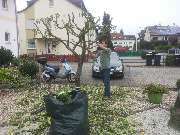 Stefan Henseleit Hausmeisterservice - Garten- und Landschaftsbau