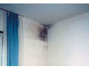 Stefan Weiß Dipl.Ing. (FH) - GALLERY