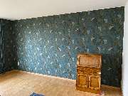 Stefanie Meier - GALLERY