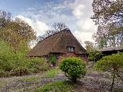 Stegeberg Immobilien - GALLERY