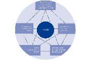 STEINBEIS, SCHOOL OF INTERNATIONAL BUSINESS AND ENTREPRENEURSHIP GmbH - 2