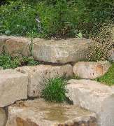 Steincraft - Garten- und Landschaftsbau | Frank Lemme-Roscher | Köln - Garten- und Landschaftsbau Frank Lemme-Roscher Köln