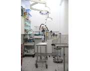 Steinel Jonas Tierarzt - GALLERY