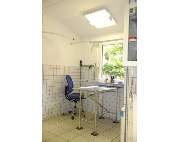 Steinel Jonas Tierarzt - GALLERY