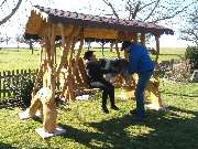 Steinhart Holzhandel und Hausbau GmbH - Gartenmöbel