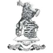 Steinmetz Kling - LOGO