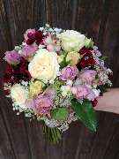 Stephanie v.d. Warth-Weber Blumen - GALLERY