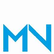 Steuerberater Martin Neumann - LOGO