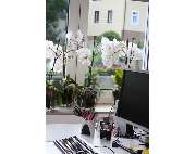 Steuerberater Wich Hans-Peter - GALLERY