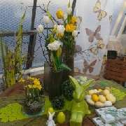 Stielecht - GALLERY