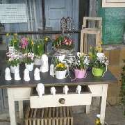 Stielecht - GALLERY