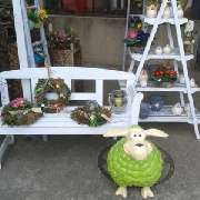 Stielecht - GALLERY