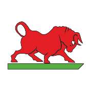 Stier24 - LOGO