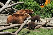 Stiftung Hagenbeck Stiftung des bürgerlichen Rechts - GALLERY