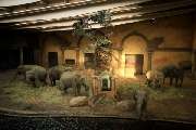 Stiftung Hagenbeck Stiftung des bürgerlichen Rechts - GALLERY