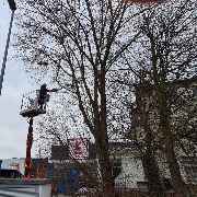 STM Dienstleistungen | Gebäudemanagement | Hausmeisterservice | Grünpflege - GALLERY