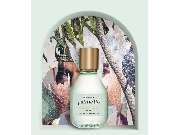 Stögers Düfte Parfümerie - GALLERY