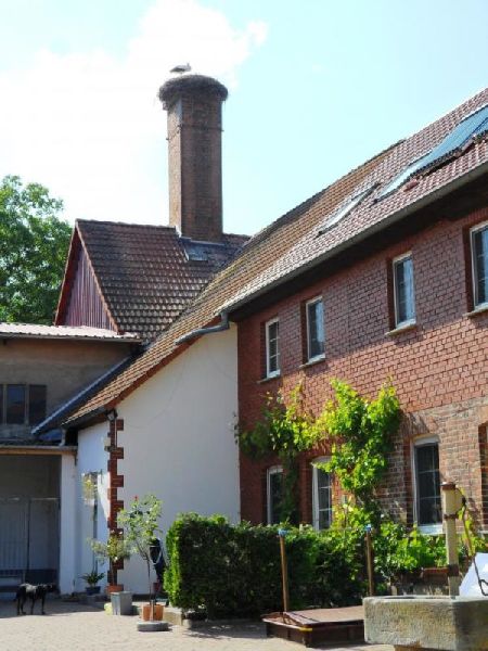 Storchenhof Imkerei - GALLERY