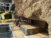 Strabau Erdkonzepte - Hausausschachtung