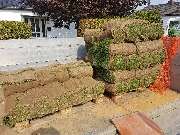 Strack Gartenbau & Containerdienst - 26