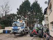 Strack Gartenbau & Containerdienst - Baumfällung mit Arbeitsbühne