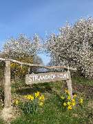 Strandhof Holnis - GALLERY