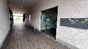 Strauss Finance - GALLERY