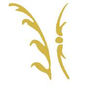 Strauss Finance - LOGO