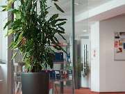 Ströer Deutsche Städte Medien GmbH - GALLERY