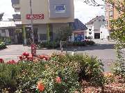 Studienkreis Nachhilfe Ingelheim am Rhein - Ingelheim am Rhein Außenansicht