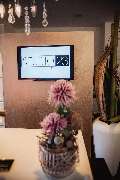 Studio 23 - GALLERY