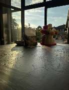 Studio C - Friseur & Concept Store Neustadt an der Weinstraße - GALLERY