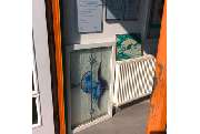 Süß Peter Glaserei - GALLERY