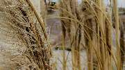 Sund Gartenbau eGbR - GALLERY
