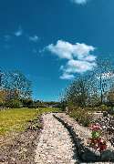 Sund Gartenbau eGbR - GALLERY