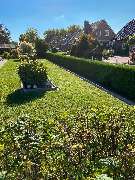 Sund Gartenbau eGbR - GALLERY